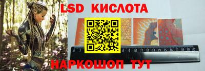 стафф Донской